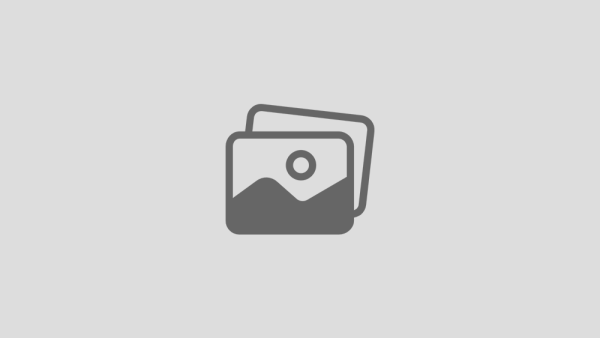 Website Management